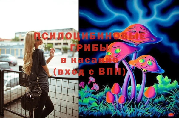 2c-b Балахна